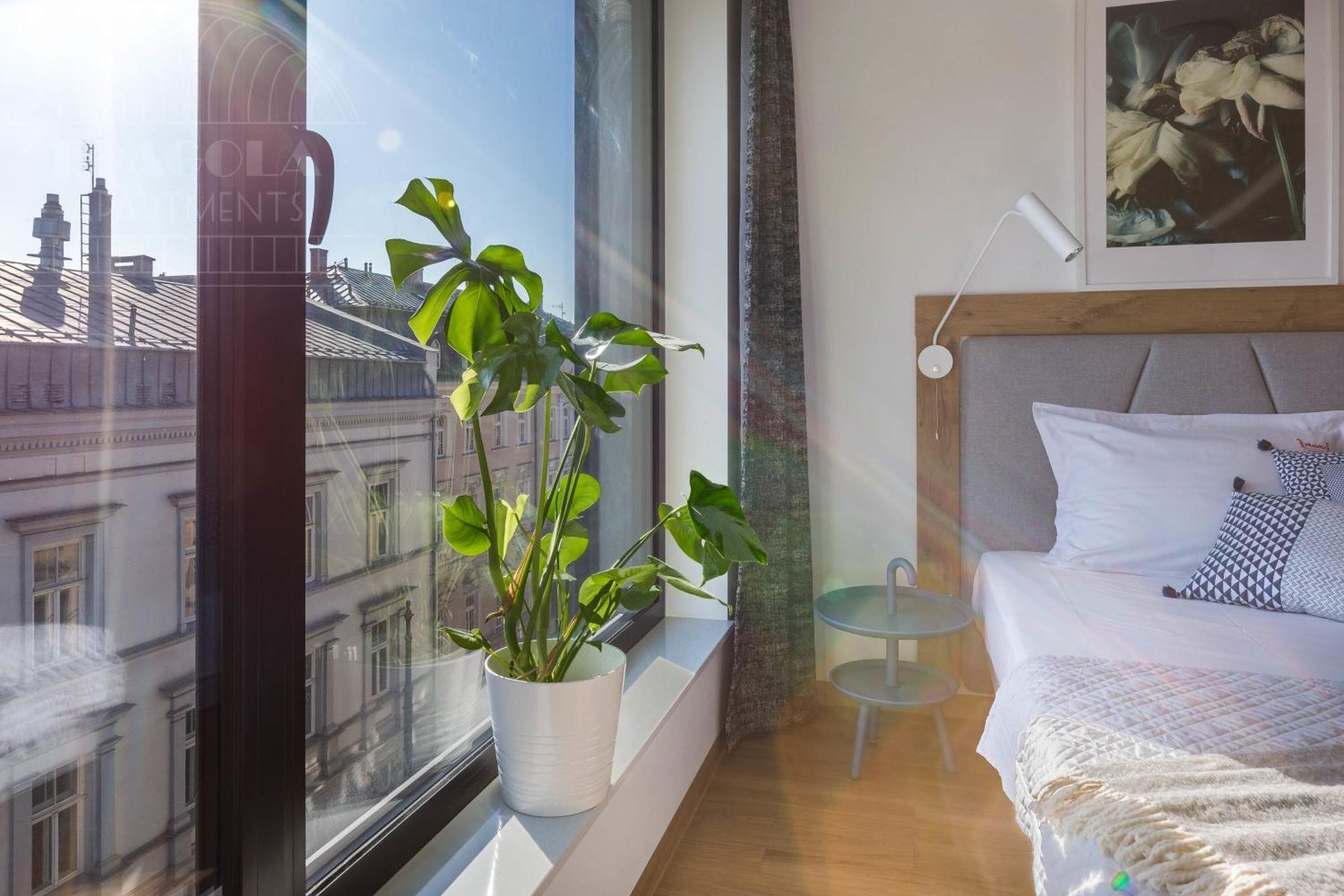 Comfort 2-Single Beds Studio